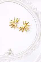 Soft Sun Elegant Earrings