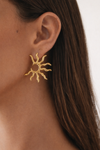 Soft Sun Elegant Earrings