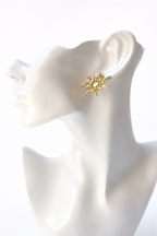 Golden Sunnies Earrings